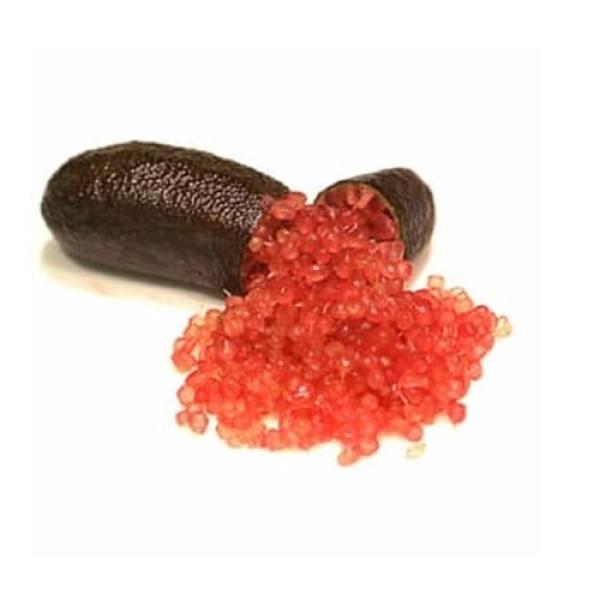 Fingerlimette 'Crimson Tide'